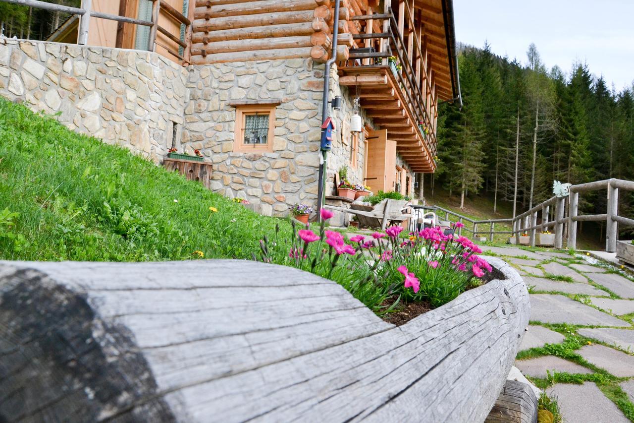 Hotel Nel Doch Canal San Bovo