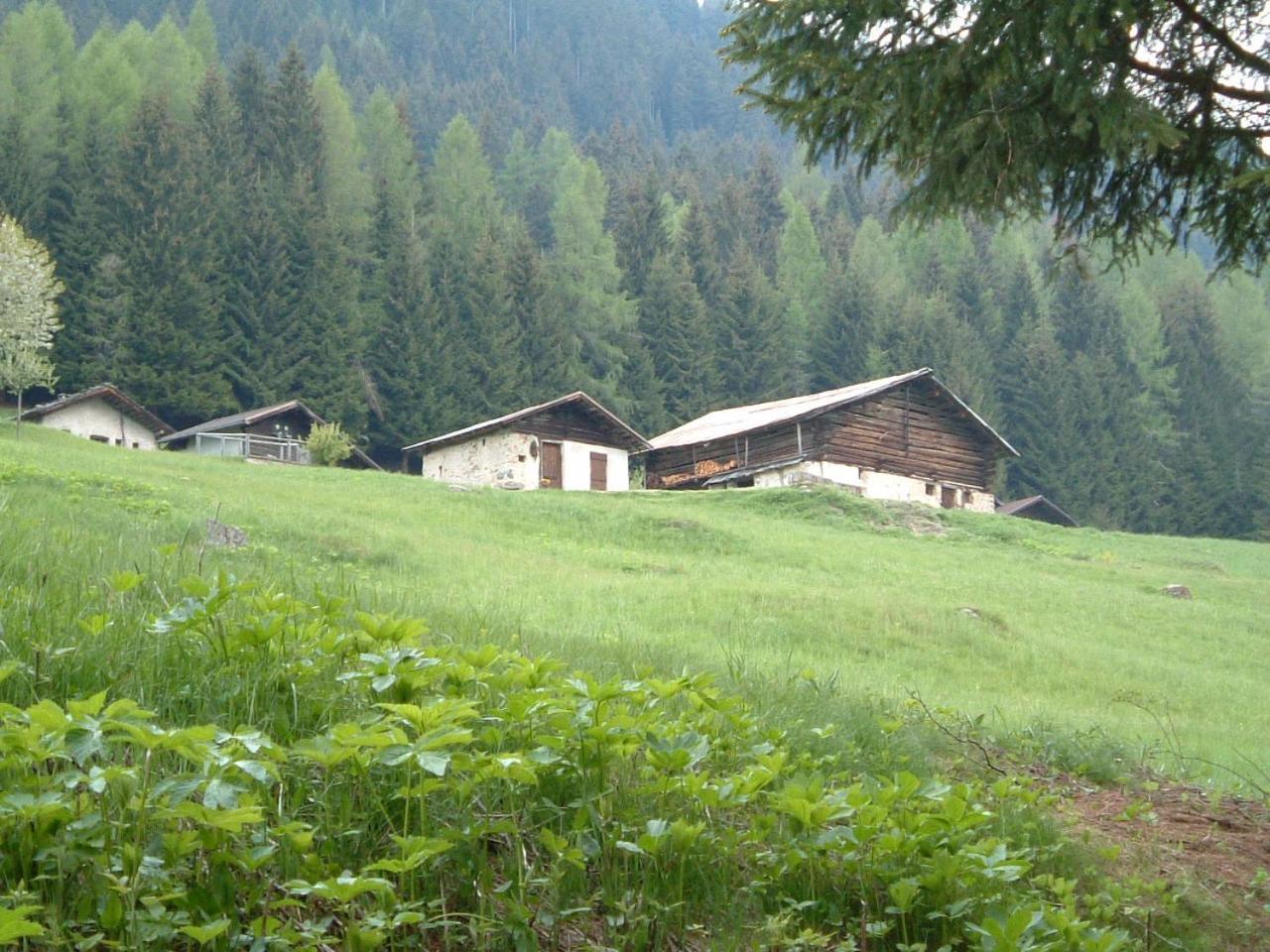 Nel Doch * Canal San Bovo